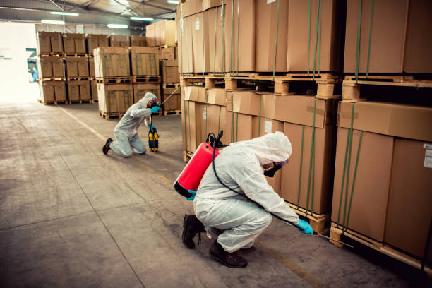 Best Pest Control Treatment  in Fulton, NY