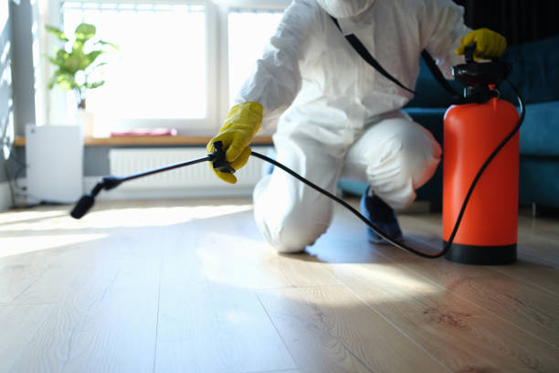 Wasp Removal Services in Fulton, NY