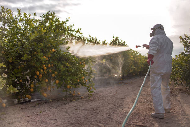  Fulton, NY Pest Control Pros