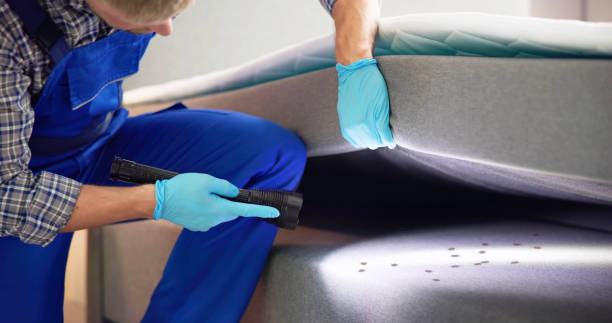 Best Local Pest Control Services  in Fulton, NY
